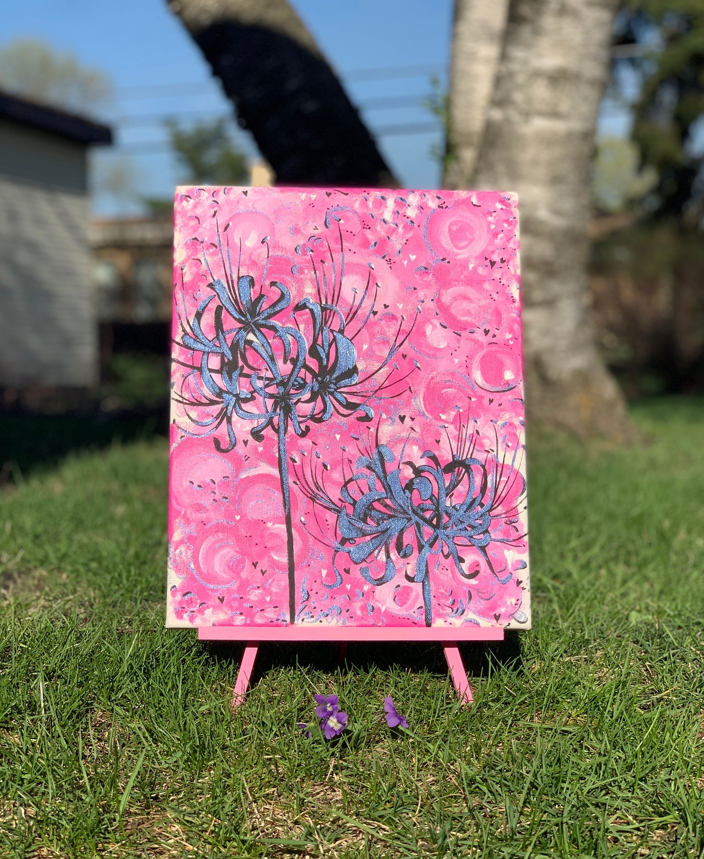 Crystalized Chrysanthemum